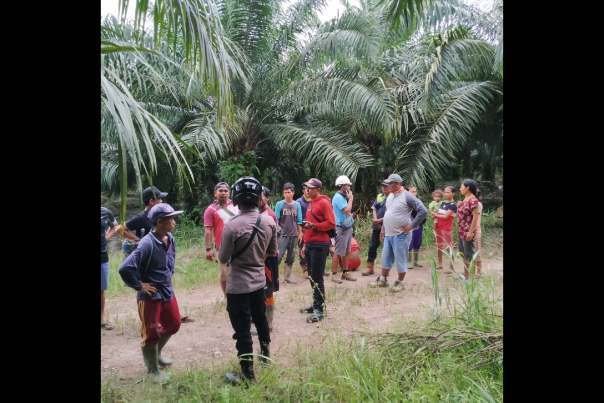 M Nurdin bersimbah darah di kebun sawit Badau perbatasan RI-Malaysia