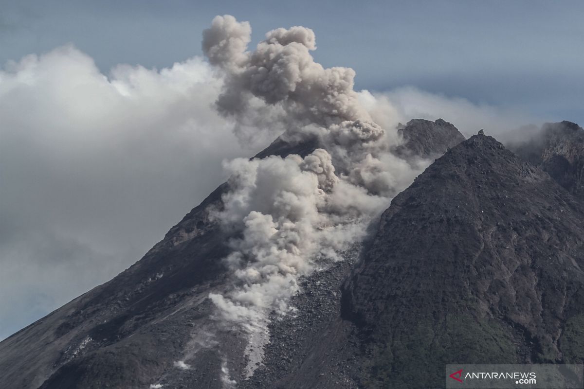 Gunung Merapi meluncurkan awan panas guguran sejauh 600 meter