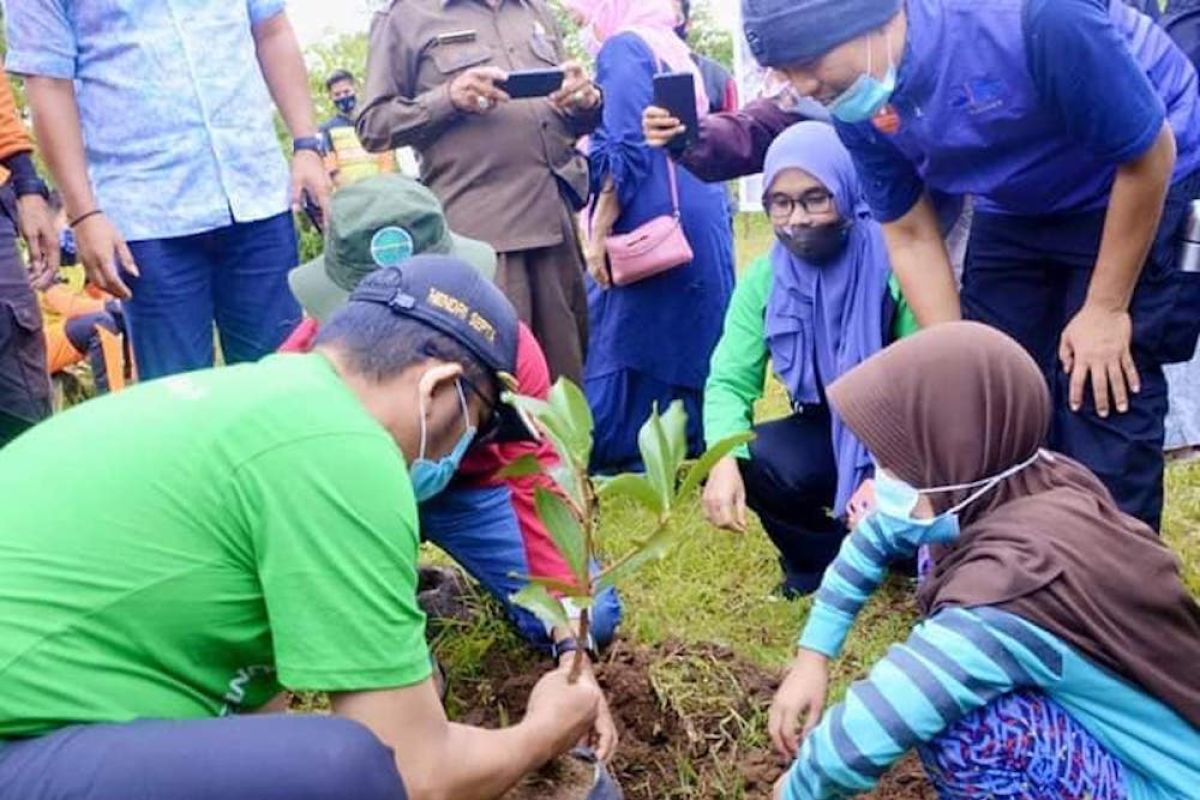 Sejuta bibit pohon ditanam di Lubuak Galapuang  Padang