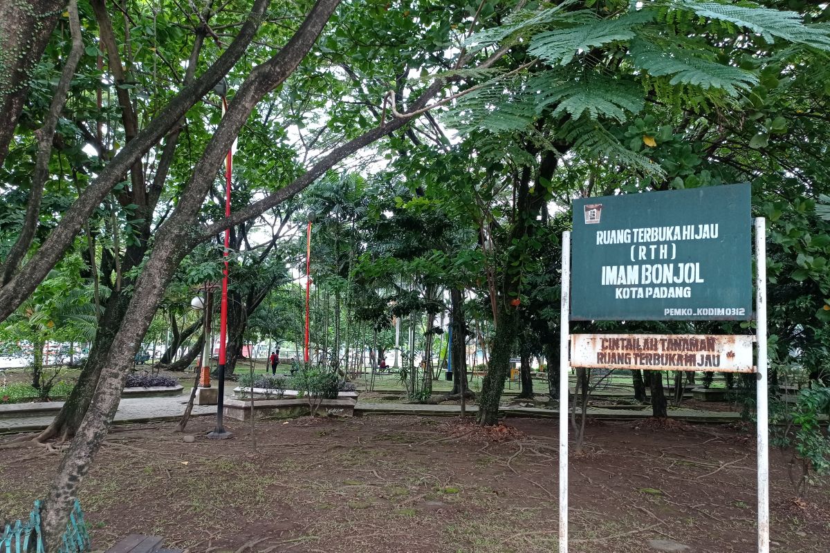 Tampil beda, DLH Padang akan tanam bibit buah di taman kota