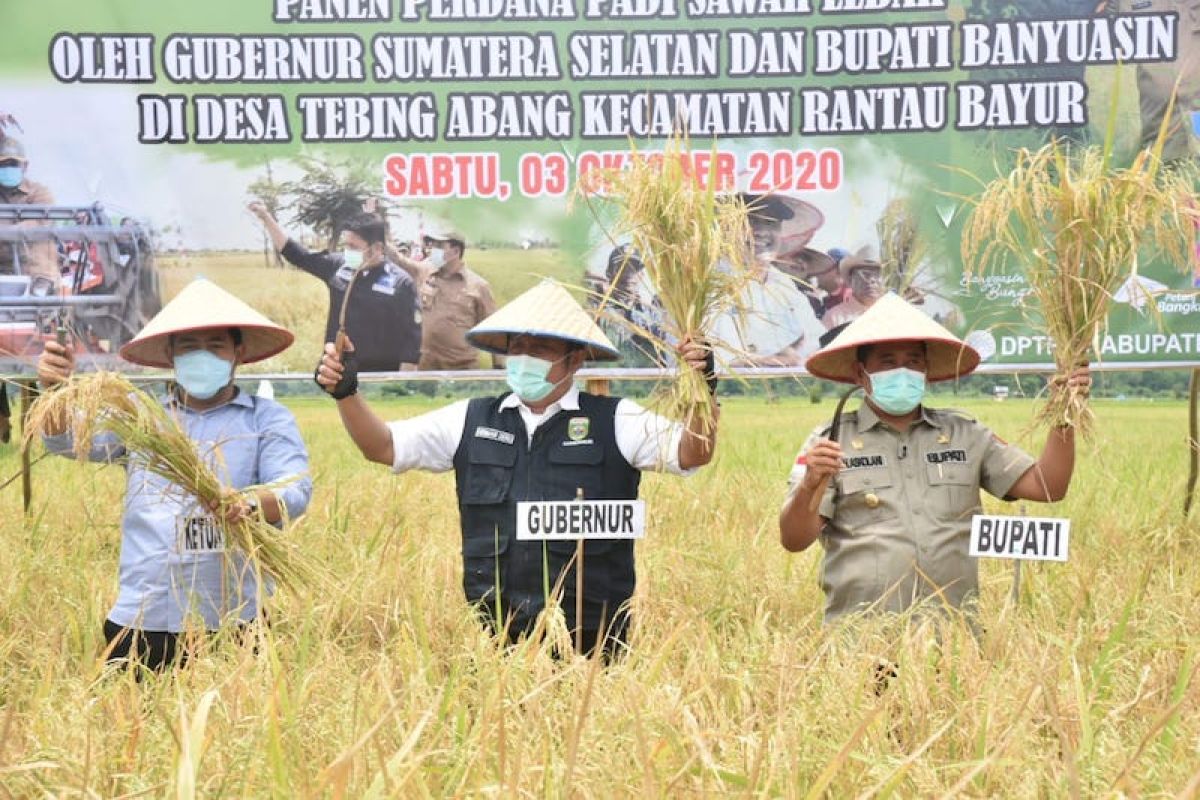 Provinsi Sumatera Selatan target jadi ikon pangan nasional