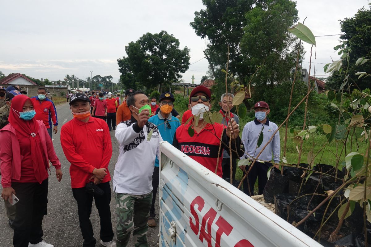 Bupati Lampung Tengah tanam pohon mahoni untuk menjaga ketersediaan air