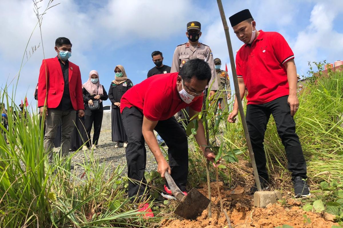 Peringati HUT ke-48 PDIP Balangan targetkan tanam seribu pohon