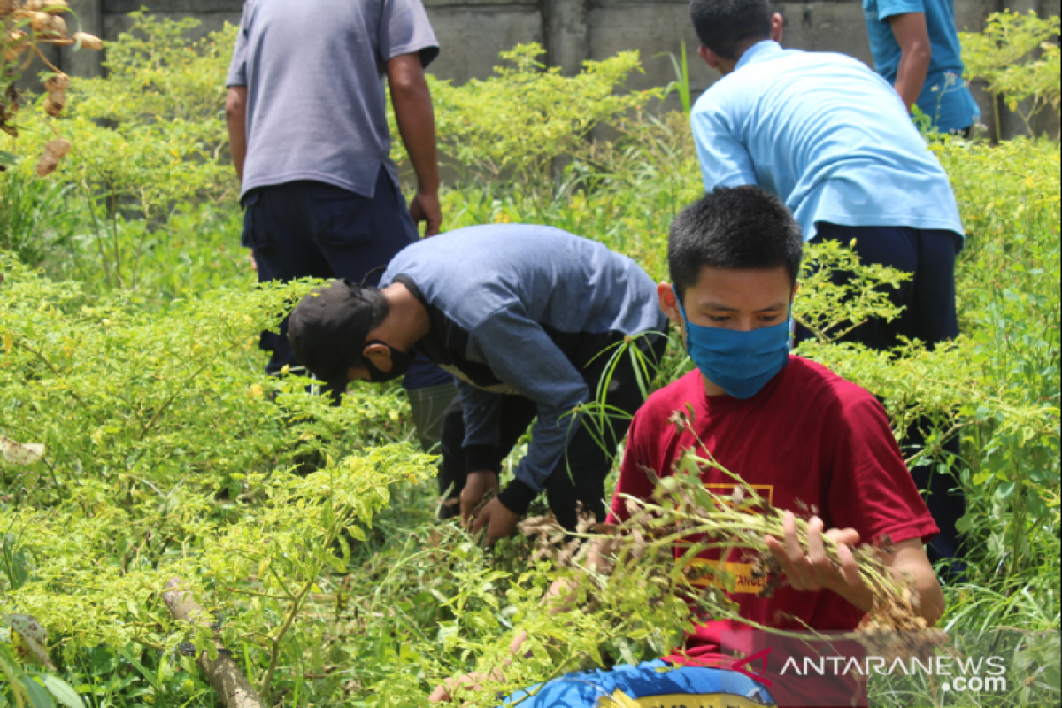 Penerima Beasiswa Pendidikan PT Timah Dibekali Soft Skill ditengah Pandemi