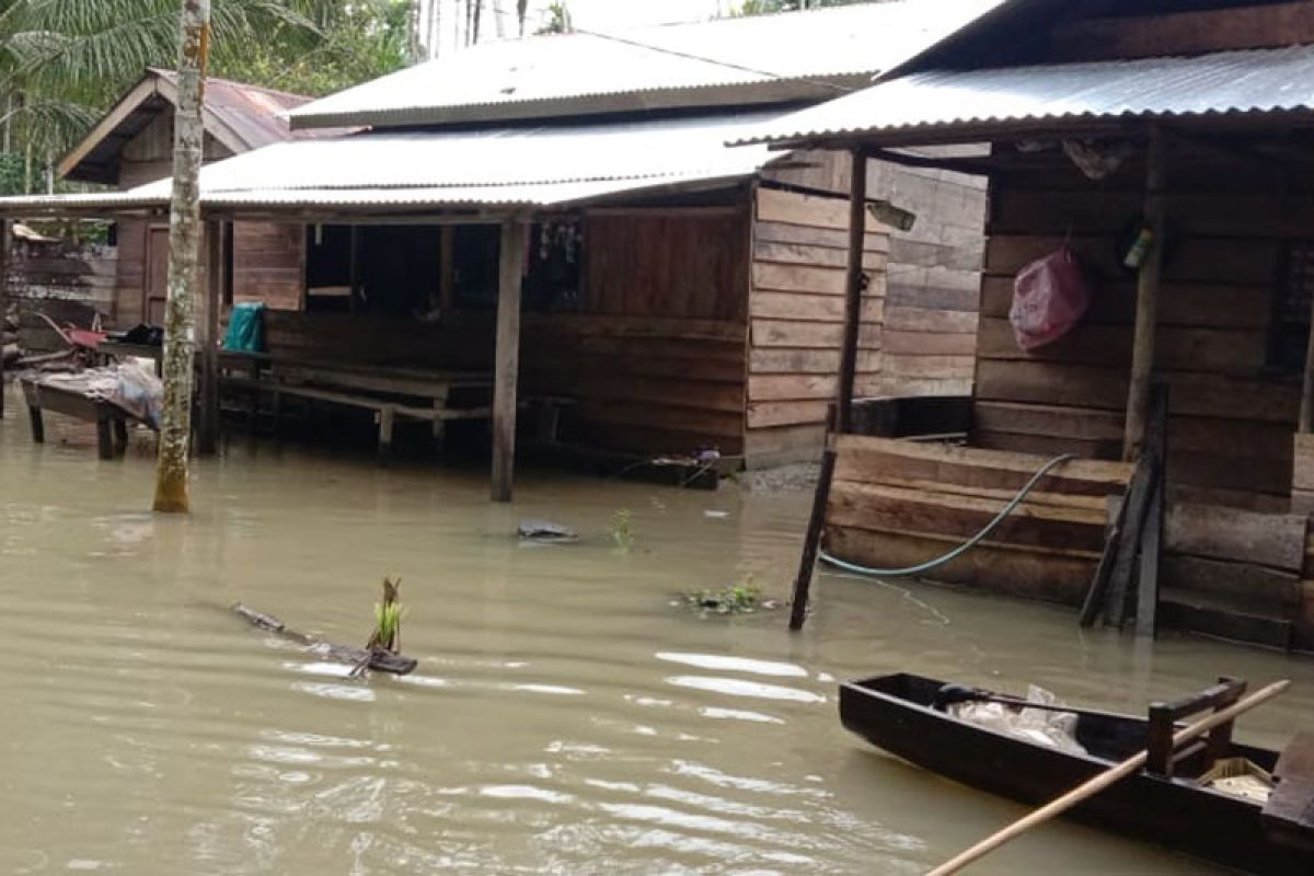 Hujan deras, Aceh Timur kembali banjir