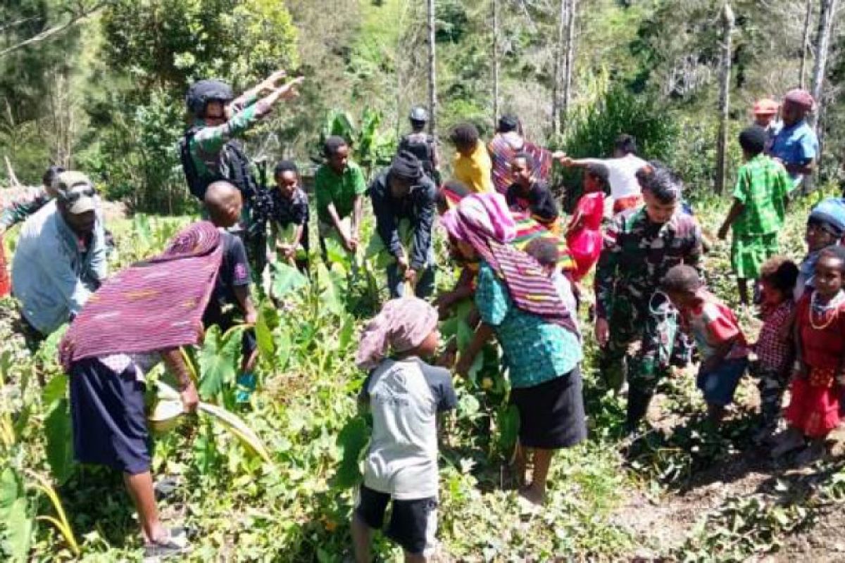 Satgas Yonif 432 Kostrad bersama warga tingkatkan ketahanan pangan