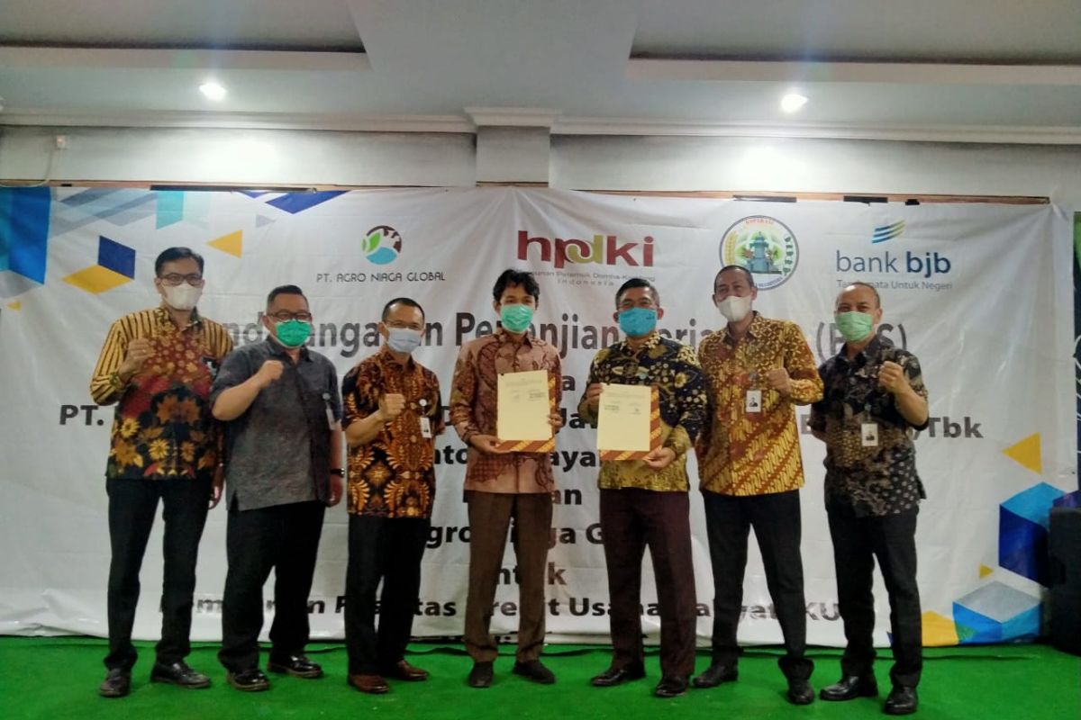 Kerjasama pola kemitraan Bank BJB sasar pengembangan peternak Banten