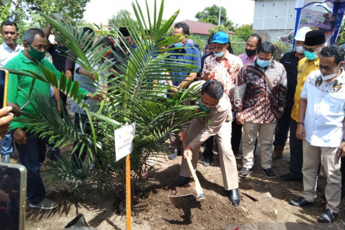 KUD Tiku Lima Jorong Agam dapat bantuan peremajaan sawit