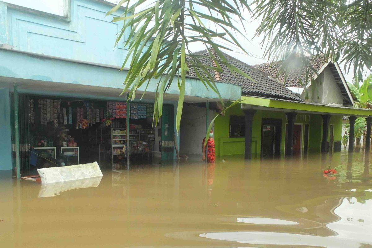 BPBD Jember: 3.986 KK terdampak banjir