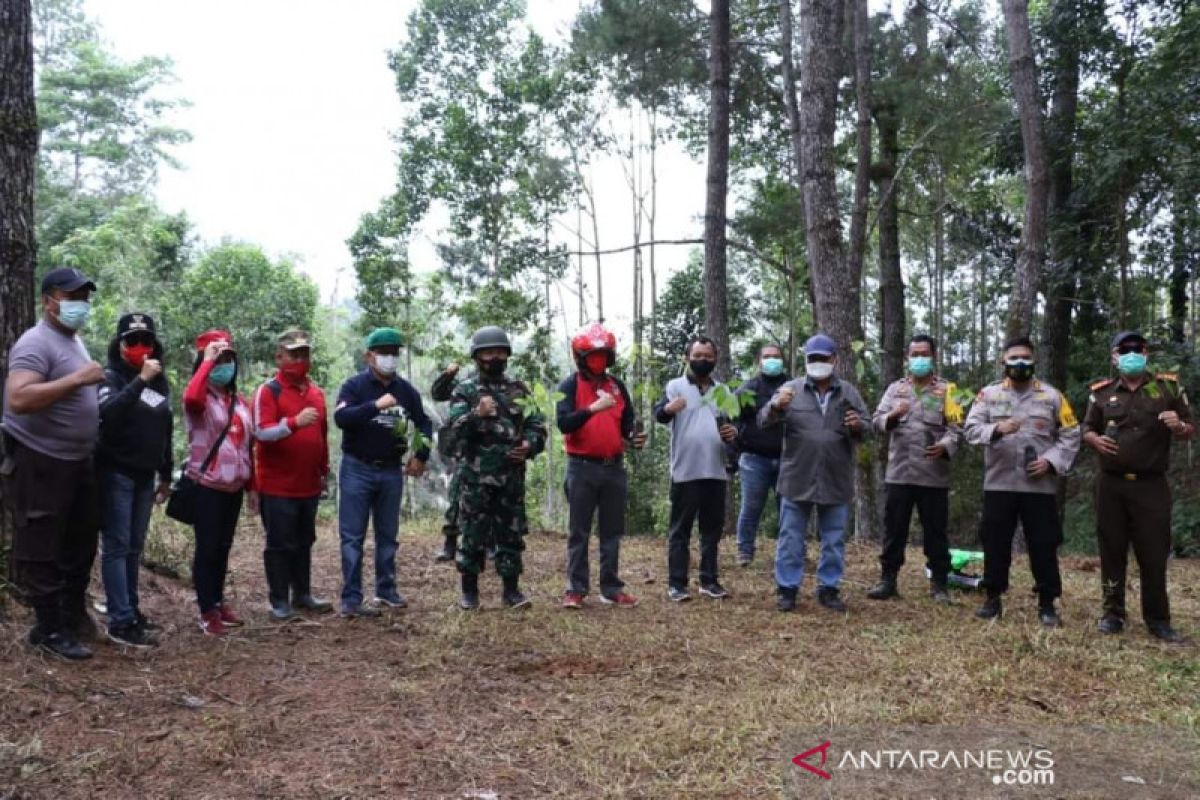 Pemkab Minahasa menanam pohon di hutan Papakelan antisipasi banjir