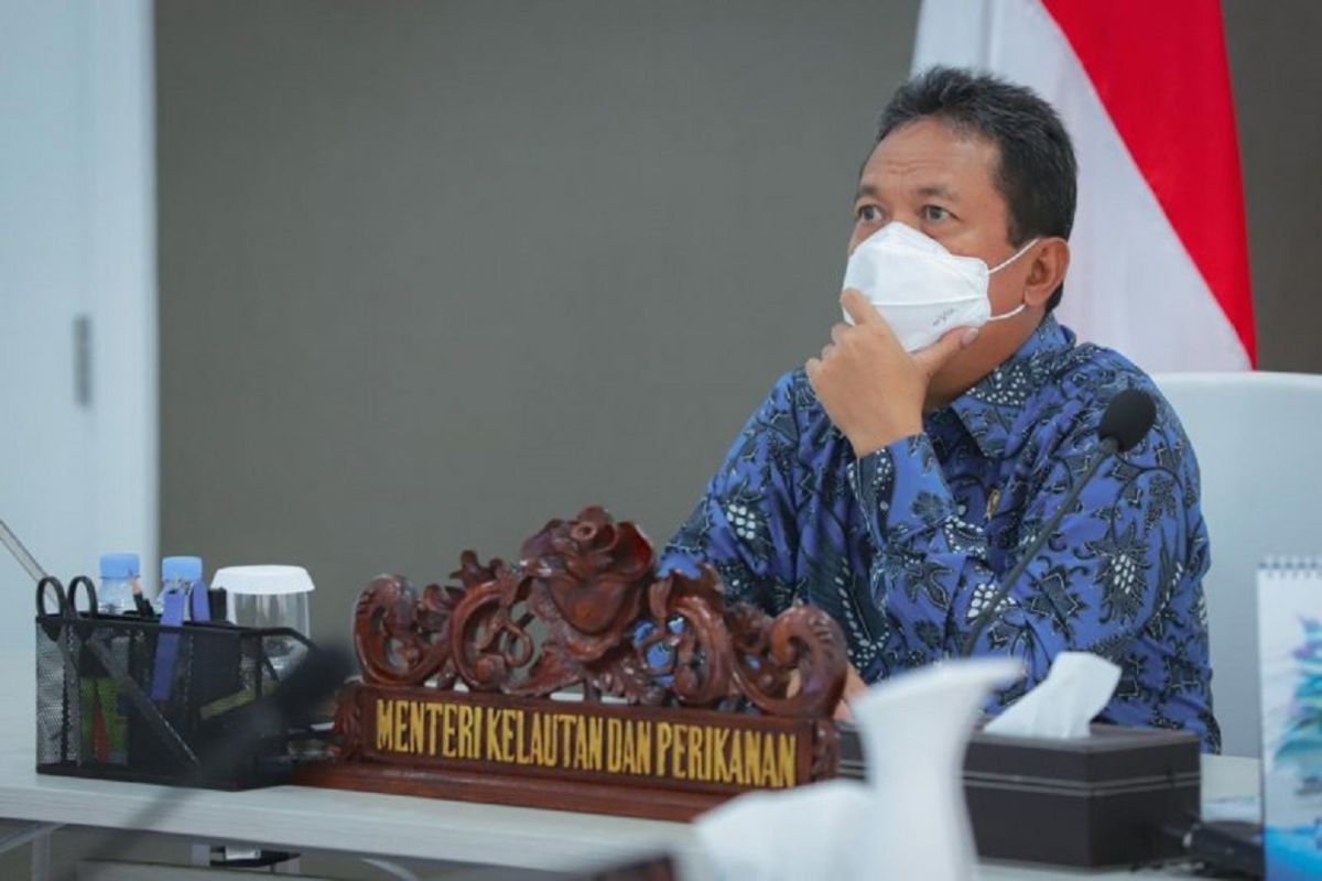 Menteri Kelautan targetkan Indonesia jadi produsen udang  vaname terbesar