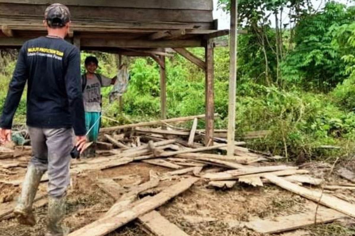 Kawanan gajah liar rusak perkebunan warga