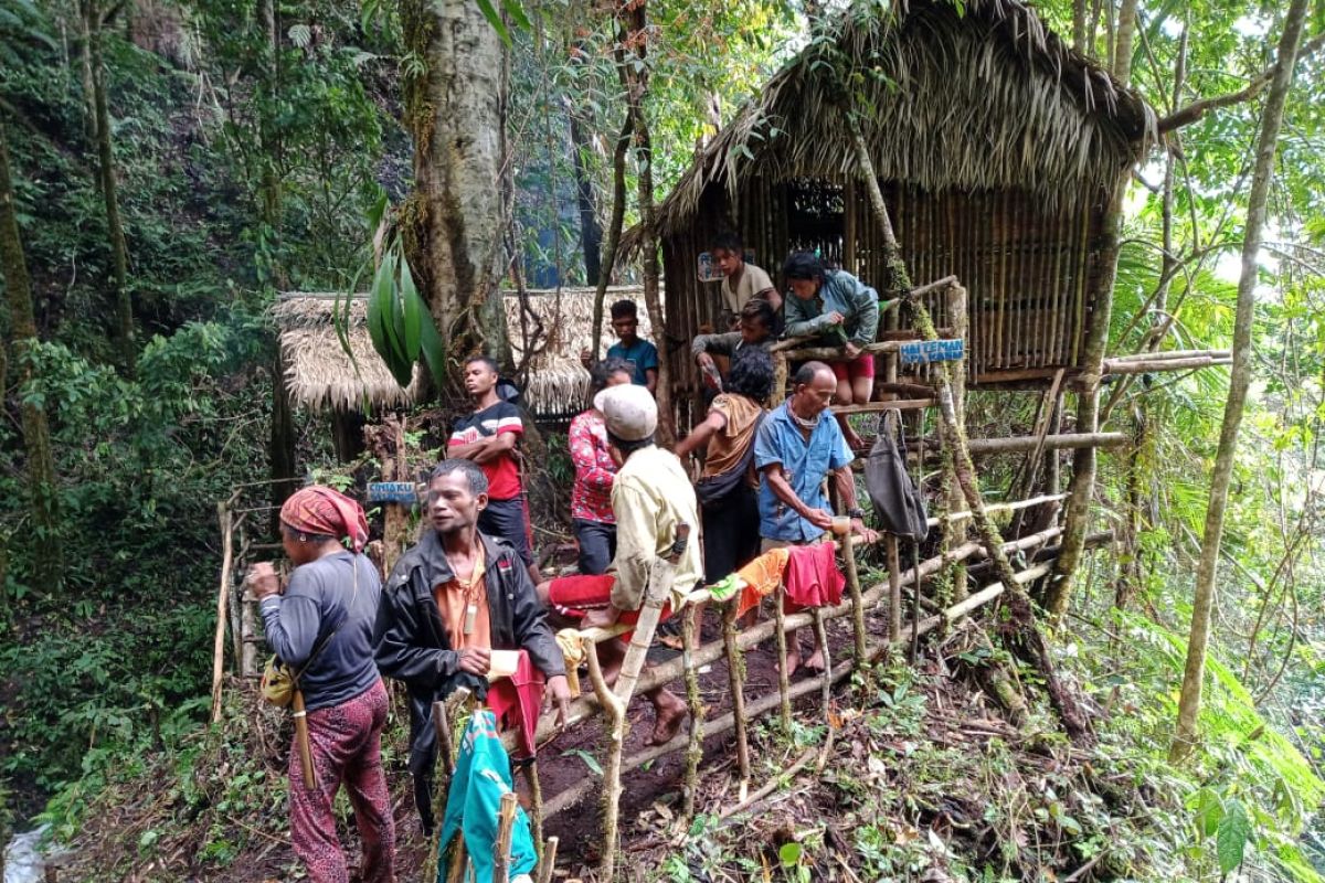 Desa Tavanggeli Donggala Bangun wisata alam rumah pohon