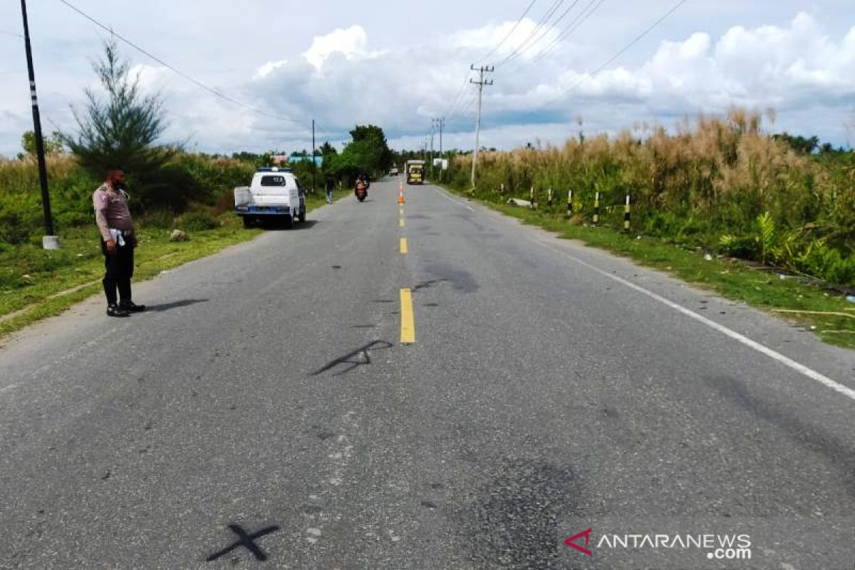 Duh! pria ini meninggal setelah tabrak rombongan sapi di jalan raya