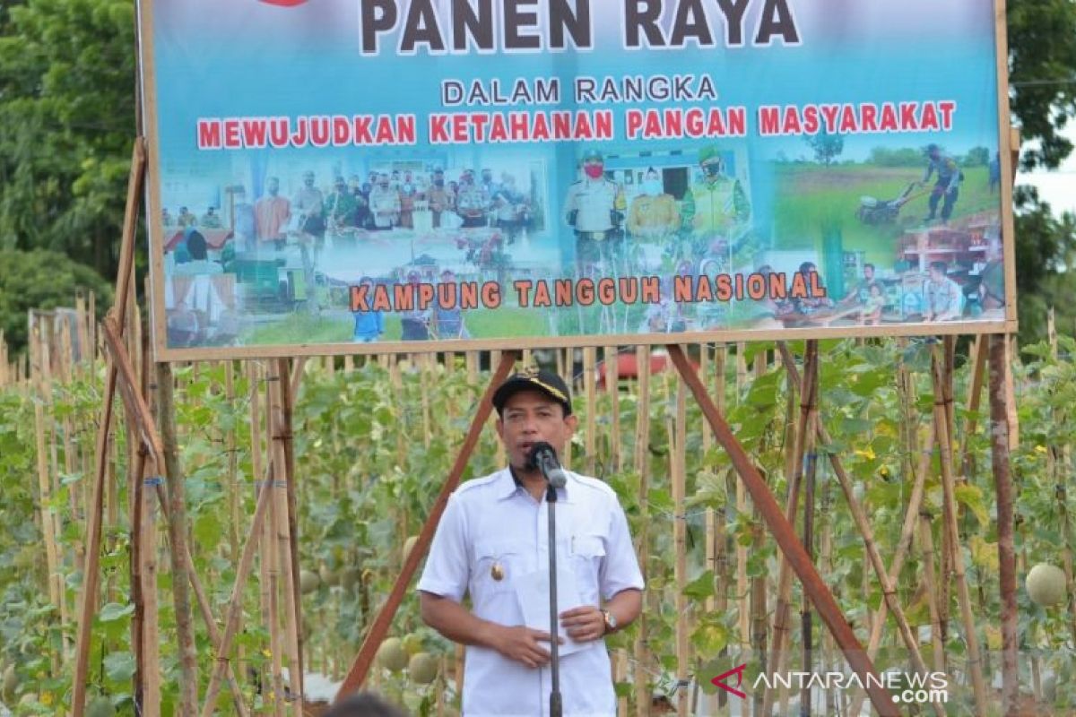 Pemkot Bengkulu dorong setiap kelurahan punya kebun sayur mayur