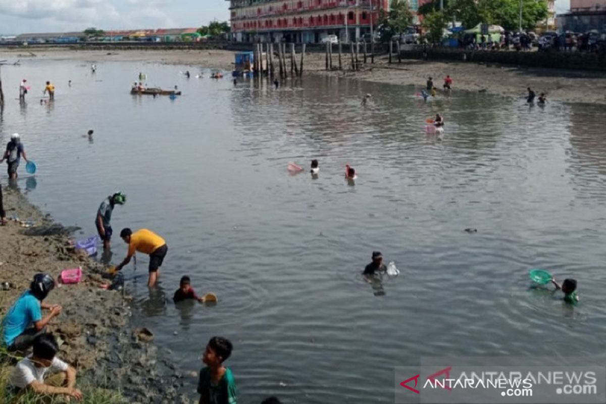 BMKG: Kemunculan ikan dipinggir laut Baubau terjebak air surut