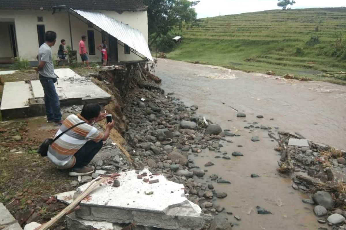 Belasan hewan ternak mati dan tiga rumah rusak akibat banjir bandang di Jembrana