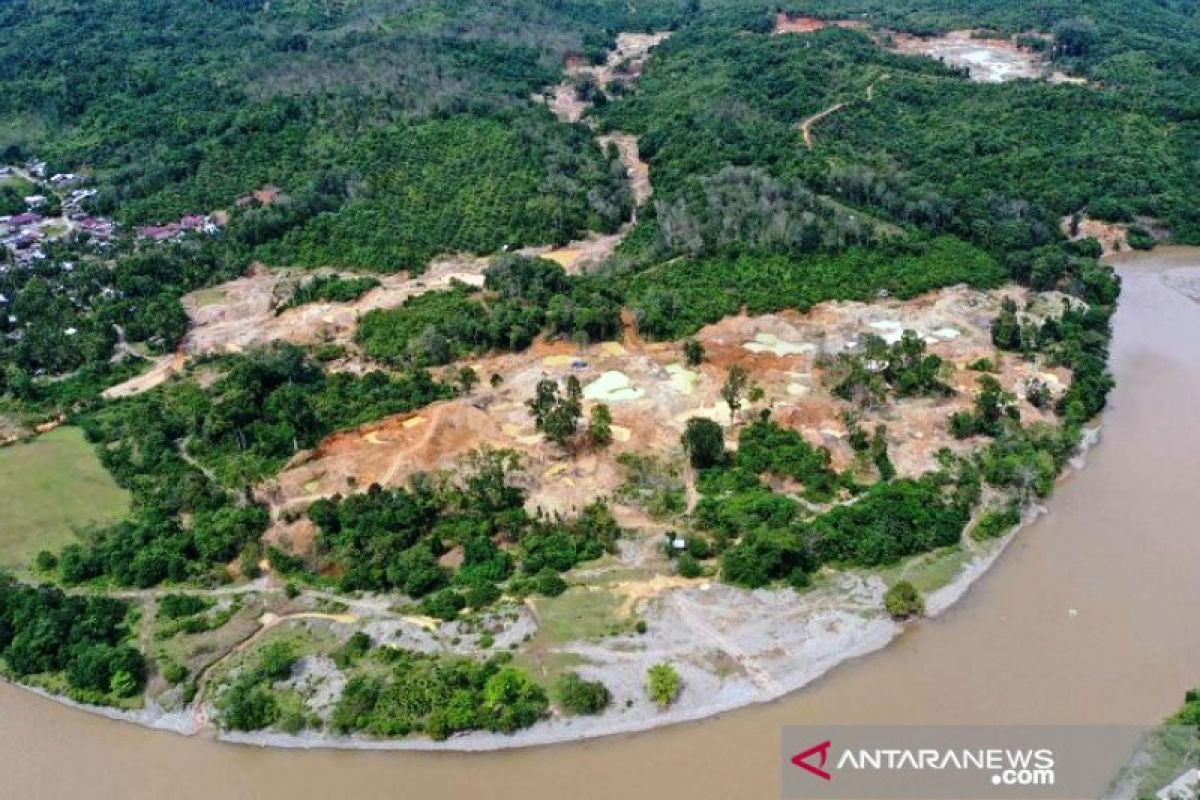 Walhi: Kerusakan hutan di Aceh Barat akibat tambang ilegal kian parah