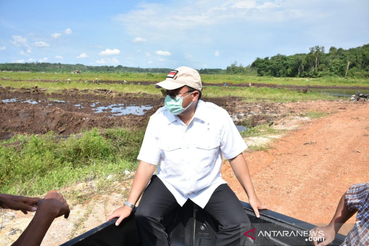 Gubernur Erzaldi tinjau ratusan hektare sawah keracunan