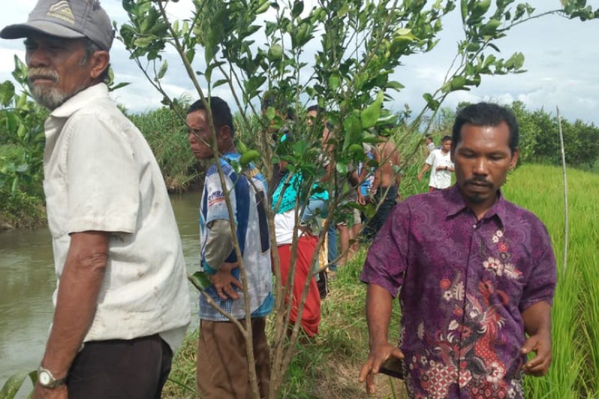 Warga Ujung Gading Pasaman Barat diduga hilang diterkam buaya