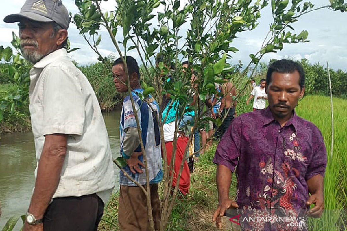 Seorang warga Ujung Gading Pasaman Barat diduga hilang diterkam buaya