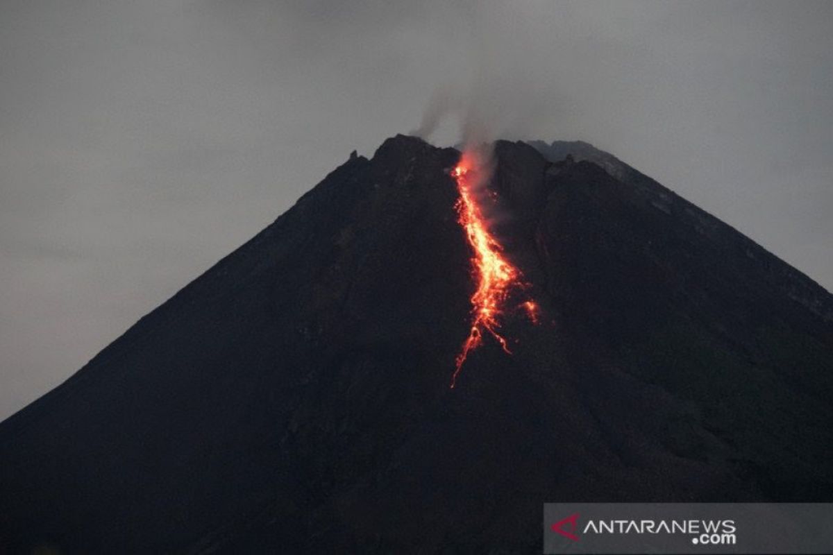 Mount Merapi spews hot lava for 36 times.