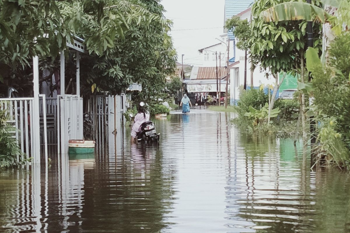 Banjir hari keempat di Banjarmasin terus naik karena air pasang dan air kiriman makin tinggi