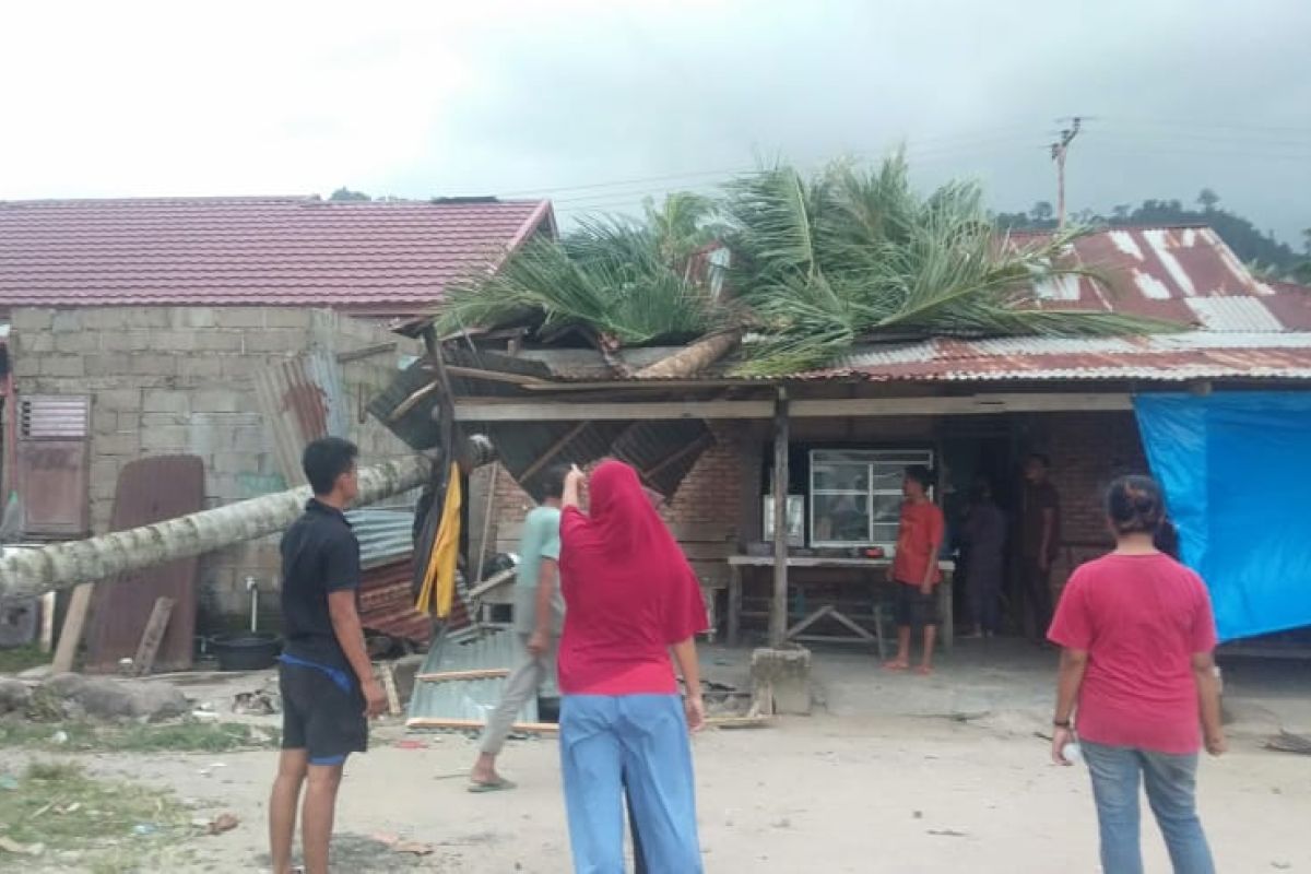 Pohon tumbang timpa rumah warga di Padang