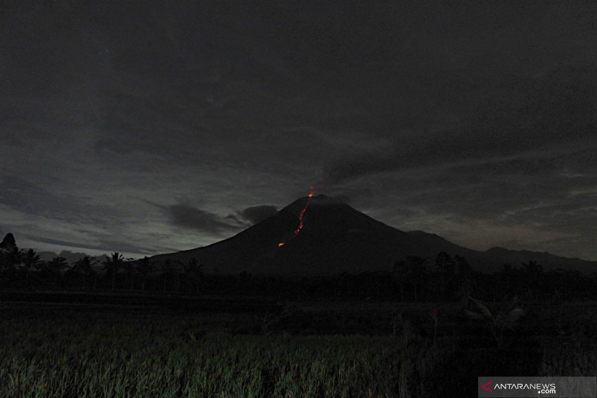 BPBD  imbau  warga tidak beraktivitas di dalam radius 1 km dari puncak Semeru