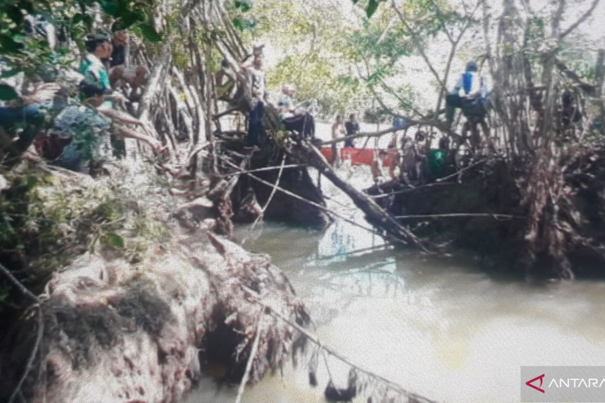 Pencarian korban diterkam buaya di Pasaman Barat terus dilakukan menggunakan tiga perahu (Video)