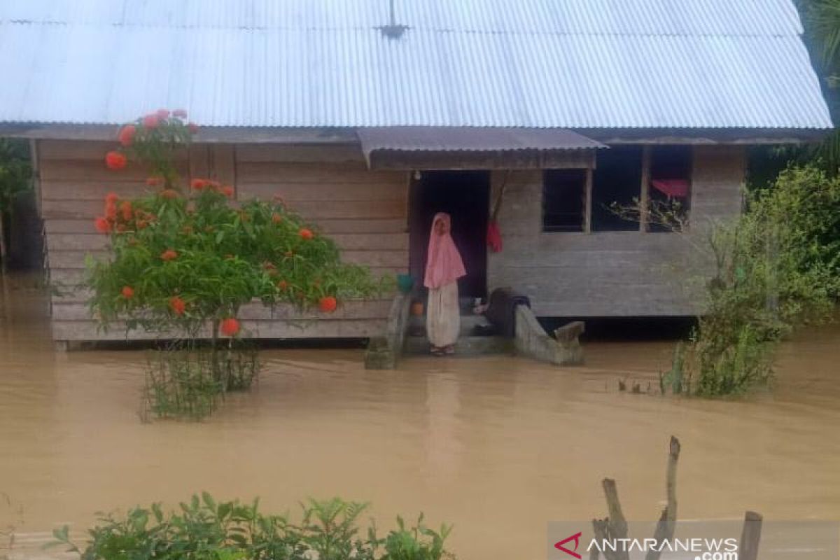 509 rumah terendam banjir di pedalaman Aceh Timur
