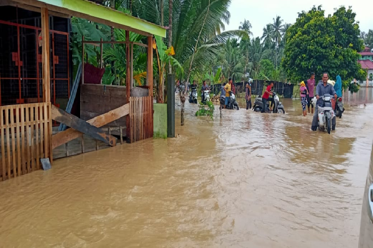 Ratusan rumah terendam banjir di Pidie