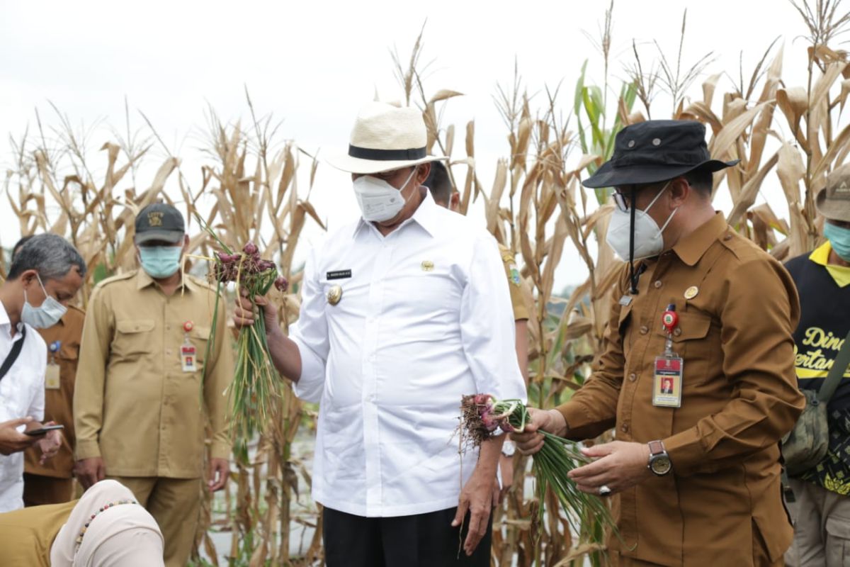 Gubernur Banten bertekad perkuat ketahanan pangan
