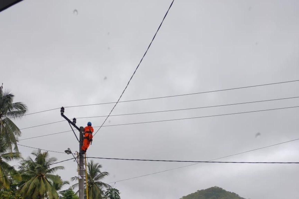 PLN tambah 178 personel untuk pulihkan listrik di Sulbar