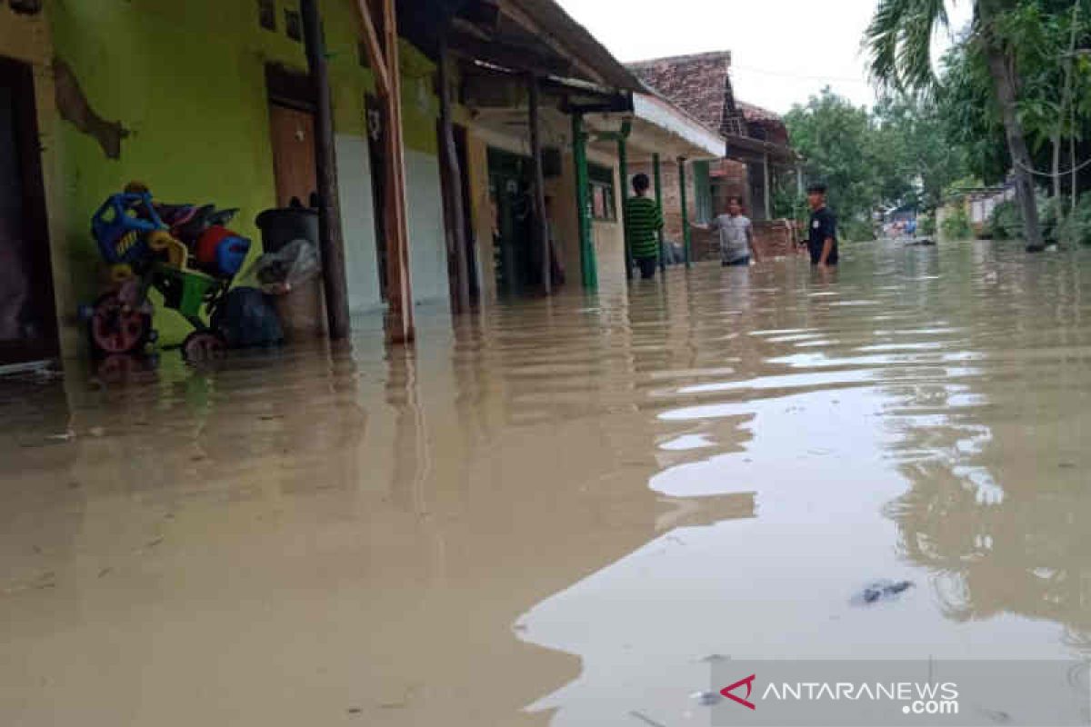 Ratusan rumah di Cirebon terendam banjir