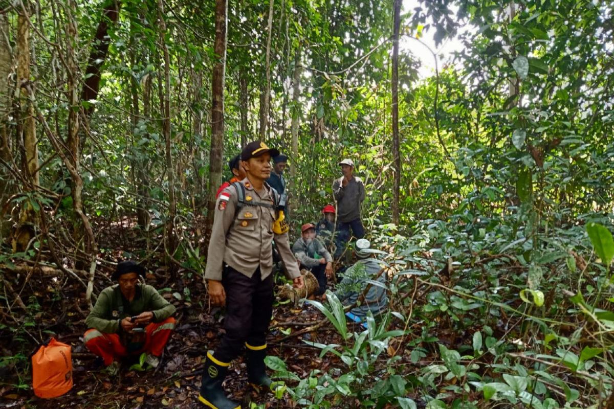 Warga Kapuas Hulu hilang di hutan perbatasan RI-Malaysia belum ditemukan