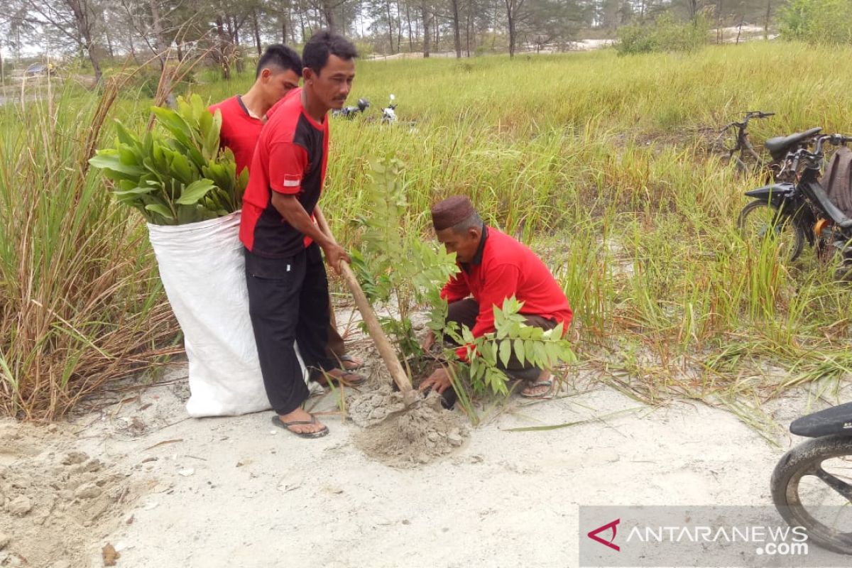 PDIP Bangka tanam ratusan pohon guna penghijauan