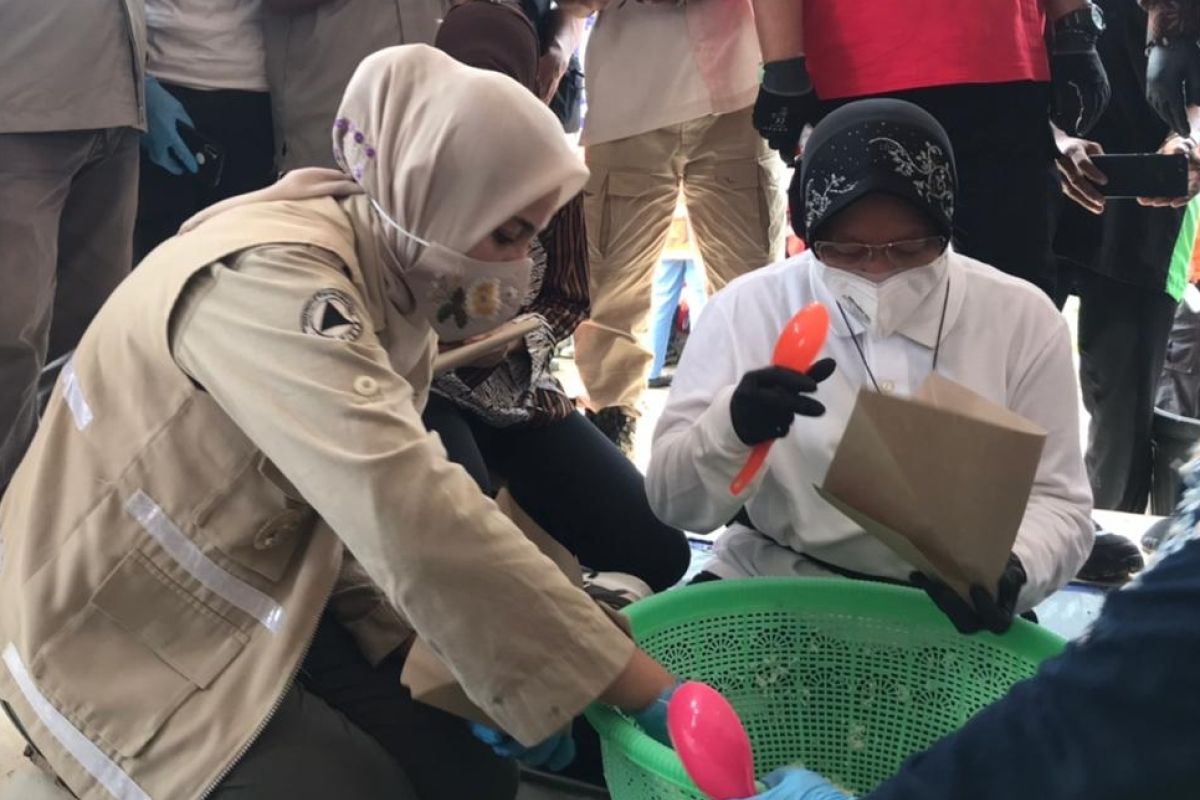 Mensos Risma bantu siapkan makanan pengungsi banjir di Jember
