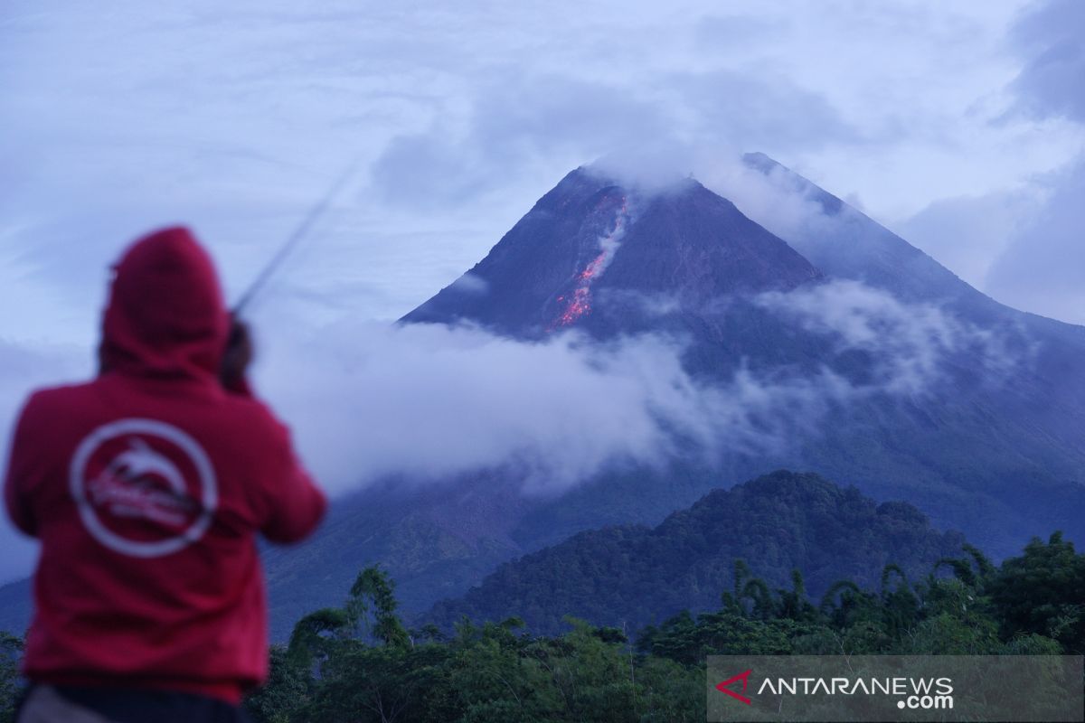 Gunung Merapi luncurkan guguran lava pijar sejauh 800 meter