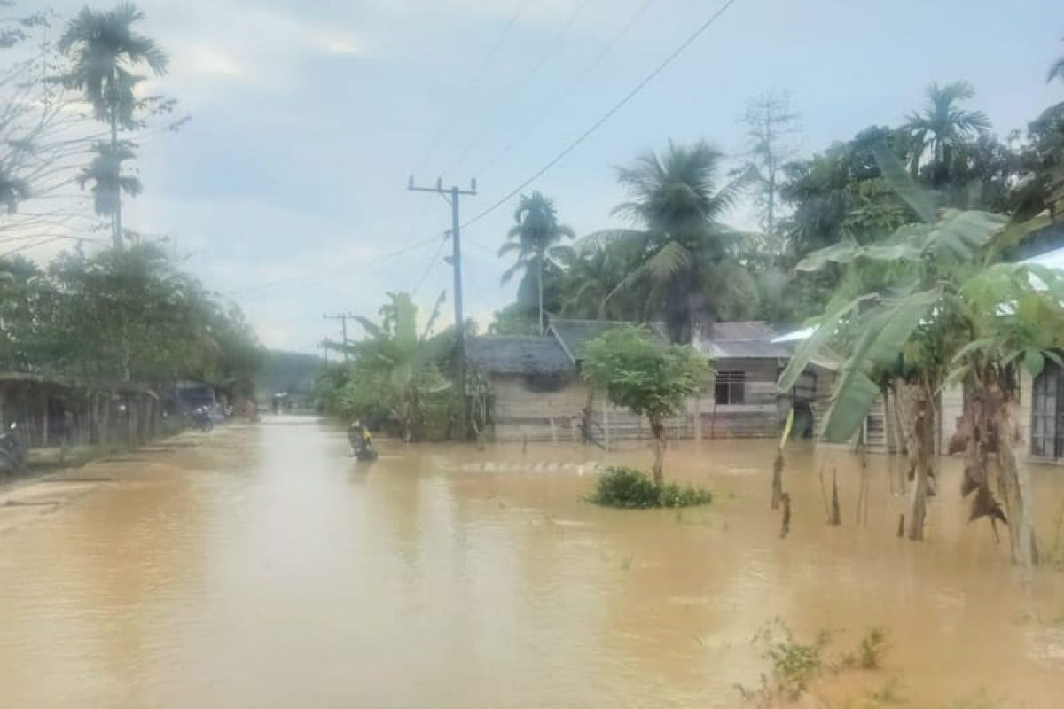 Ratusan rumah di pedalaman Aceh Timur terendam banjir