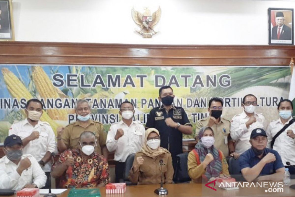 DPTPH Kaltim minta petani porang bersatu