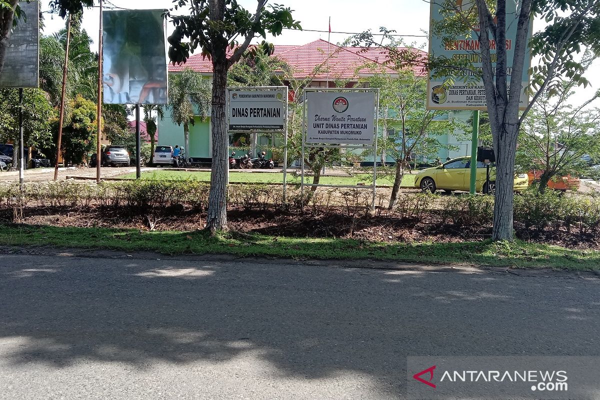 Mukomuko tunggu petunjuk bangun jaringan irigasi tersier