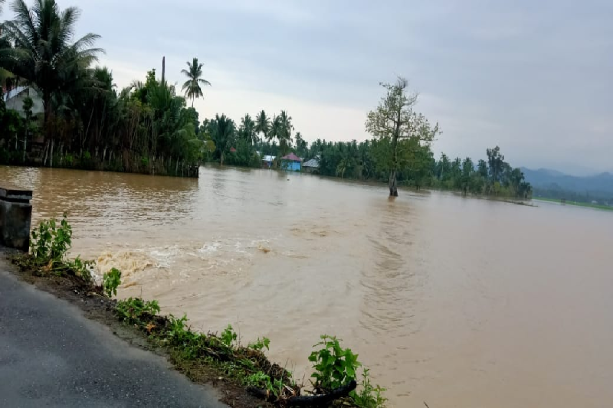 Ratusan hektare sawah di Pidie terendam banjir