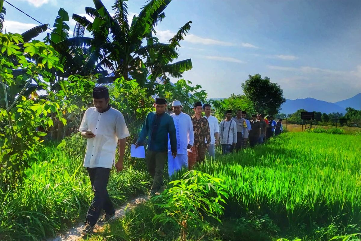 Alih fungsi lahan di Kota Mataram berpotensi sasar LP2B