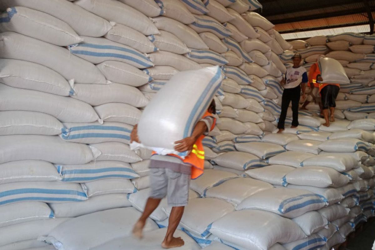 Target pengadaan pangan Bulog Banyumas capai 33.300 ton setara beras