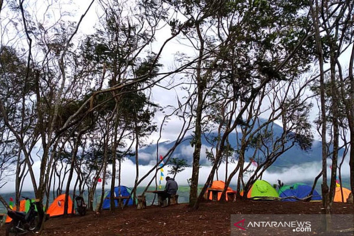 Petik tanaman dilindungi, Sekelompok pemuda dilarang daki Gunung Dempo