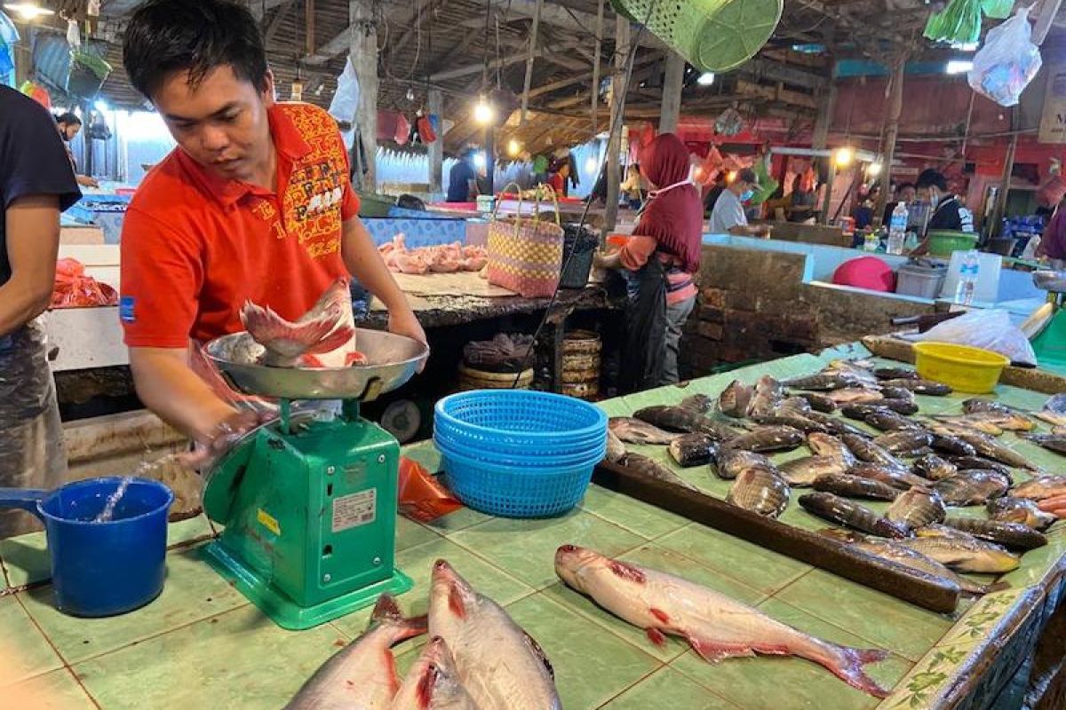 Pasokan berkurang, harga ikan di Palembang naik