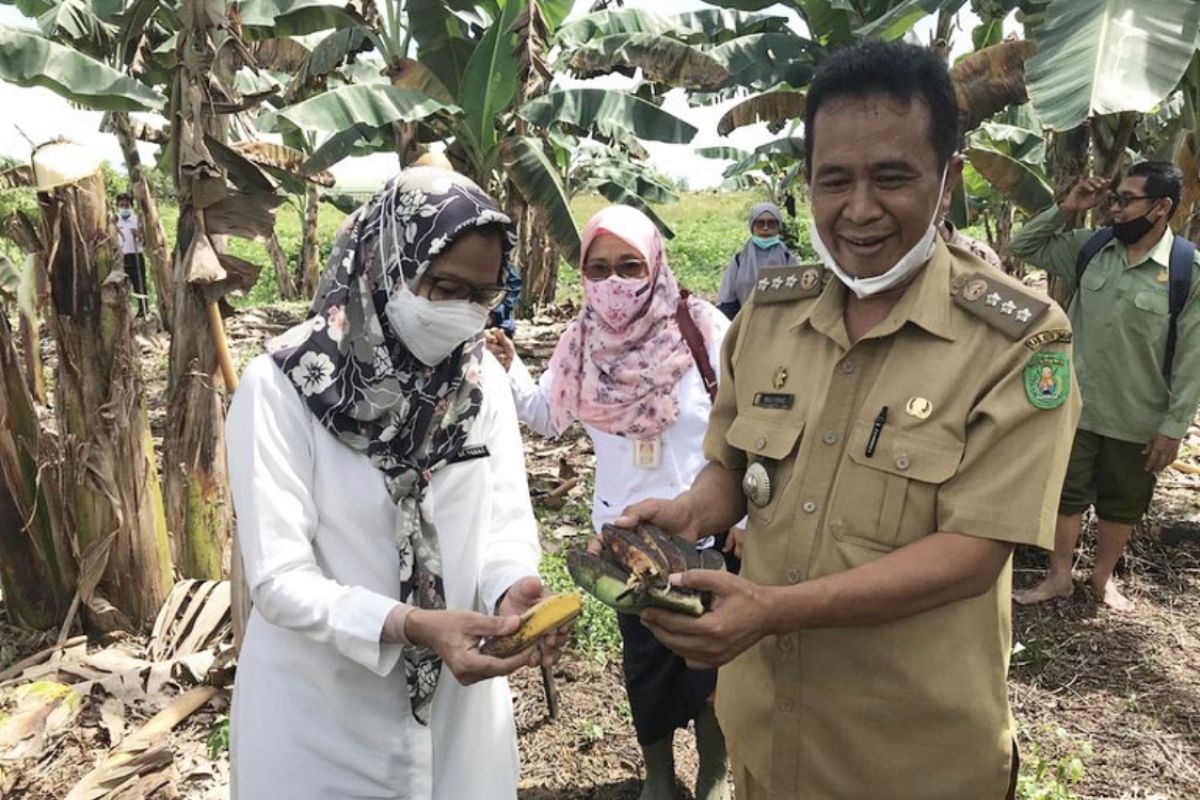 DPTPH Kaltim bantu peralatan Balai Benih Pertanian