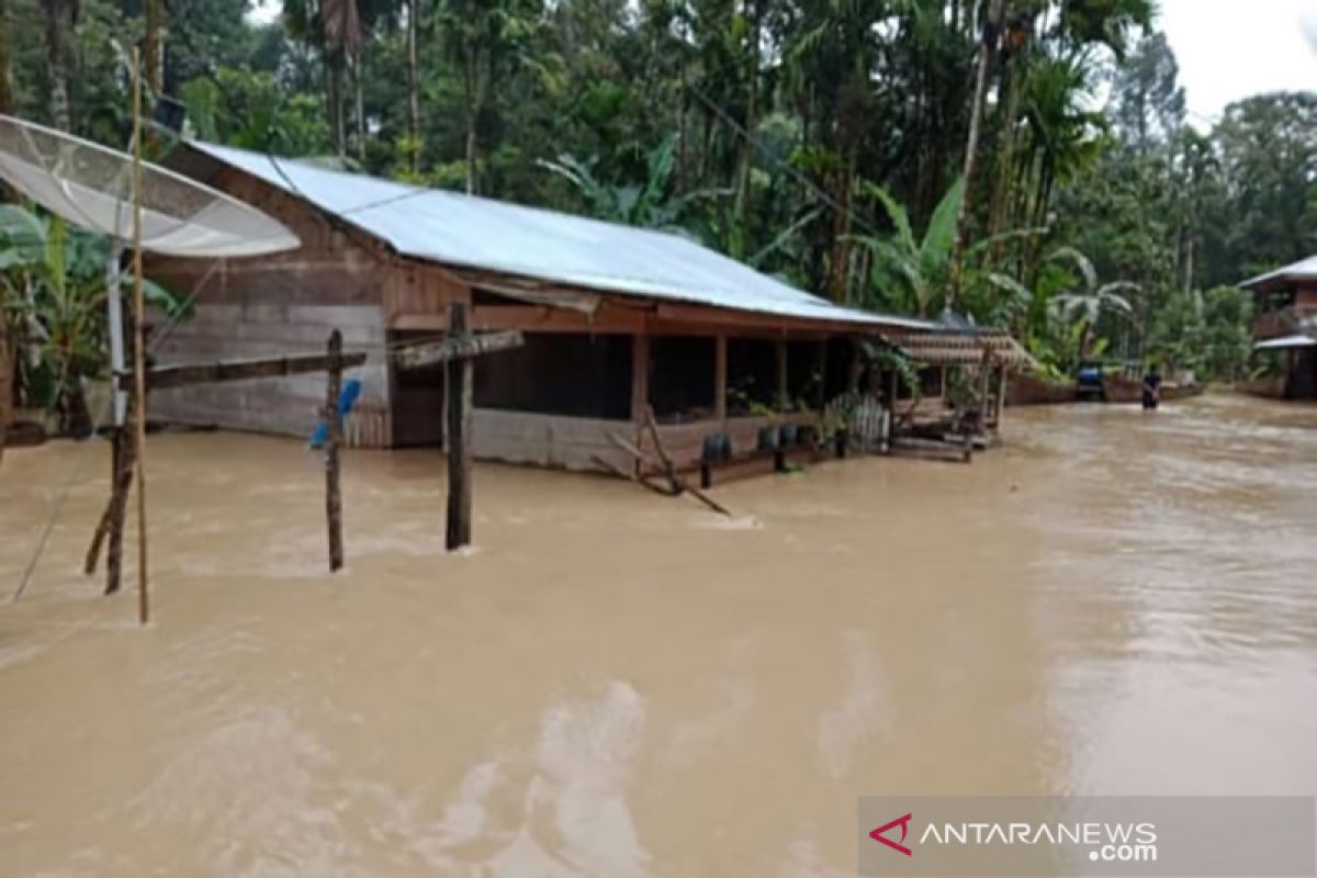 Banjir meluas, ratusan warga Aceh Timur mengungsi