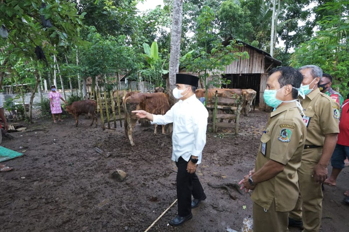 Lewat e-Nak Wangi, Pemkab Banyuwangi optimalkan perekaman kesehatan ternak sapi